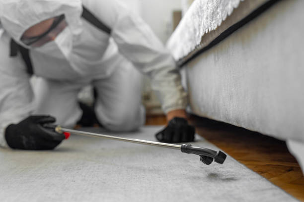 Professional Bed Bug Control technician working in Farmersville, TX