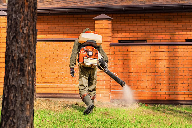 Trusted Rodent Control service in Farmersville, TX - Nex Pest Control